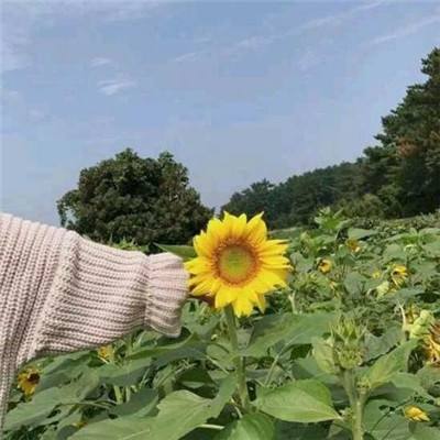 传奇武尊游戏下载